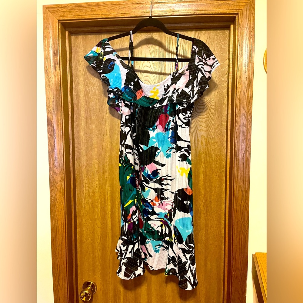 Nicole by Nicole Miller, Size 10, Multi Colored Dress